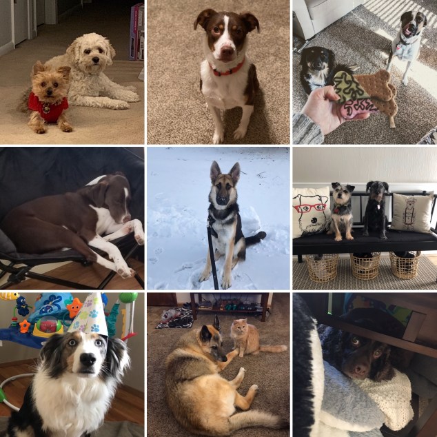 D89B1C1F-0119-463D-BD26-D3E58DB85A72