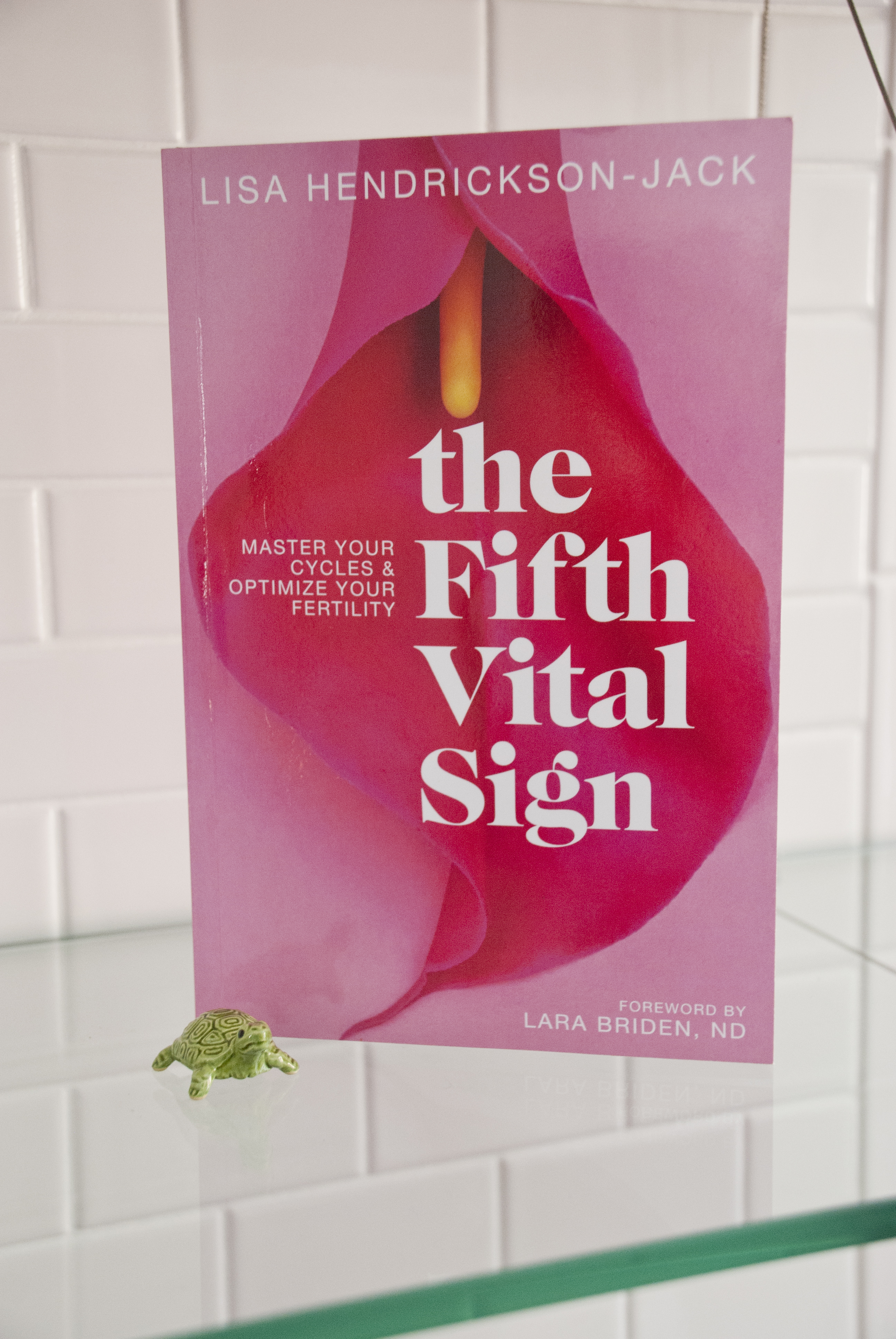 The 5th Vital Sign Book