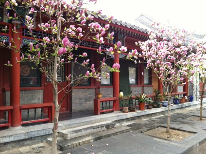 Pretty Trees at a Tao Temple Beijing, China